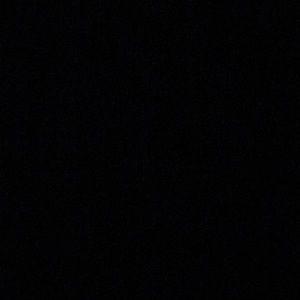 Meet your Posher, Allen